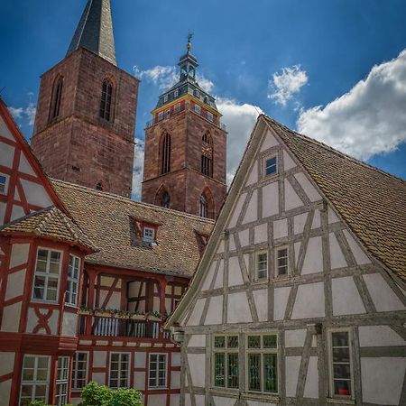 Steinhaeuser Hof Neustadt an der Weinstraße المظهر الخارجي الصورة