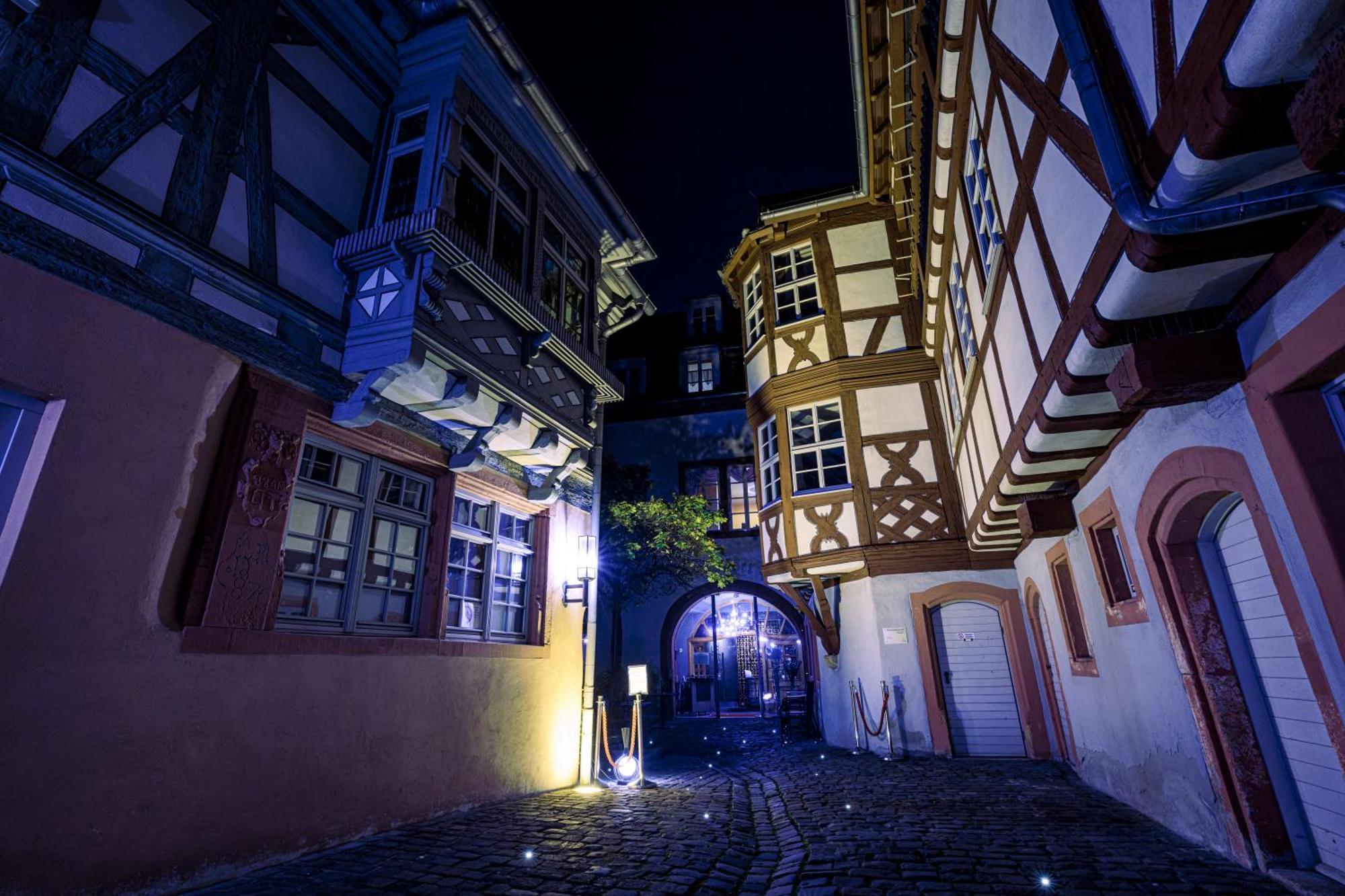 Steinhaeuser Hof Neustadt an der Weinstraße المظهر الخارجي الصورة