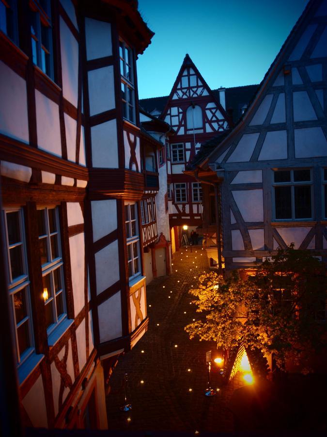 Steinhaeuser Hof Neustadt an der Weinstraße المظهر الخارجي الصورة
