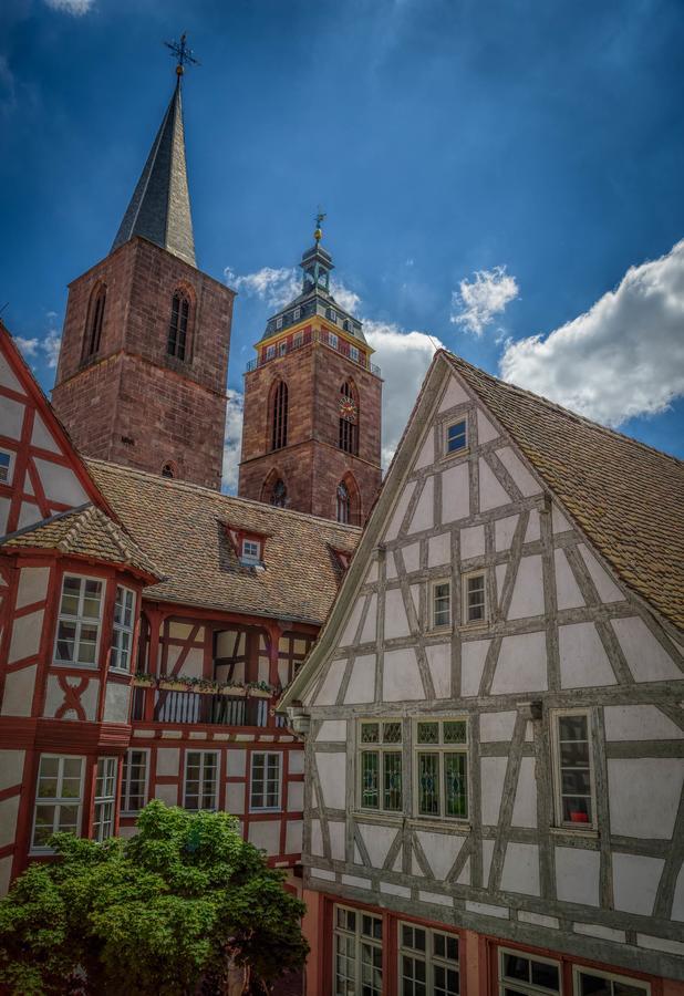 Steinhaeuser Hof Neustadt an der Weinstraße المظهر الخارجي الصورة